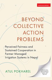 Beyond Collective Action Problems