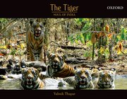 The Tiger